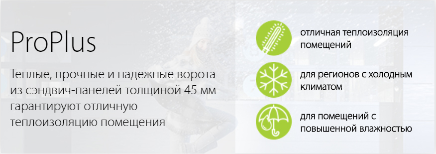 Промышленные секционные ворота ProPlus
